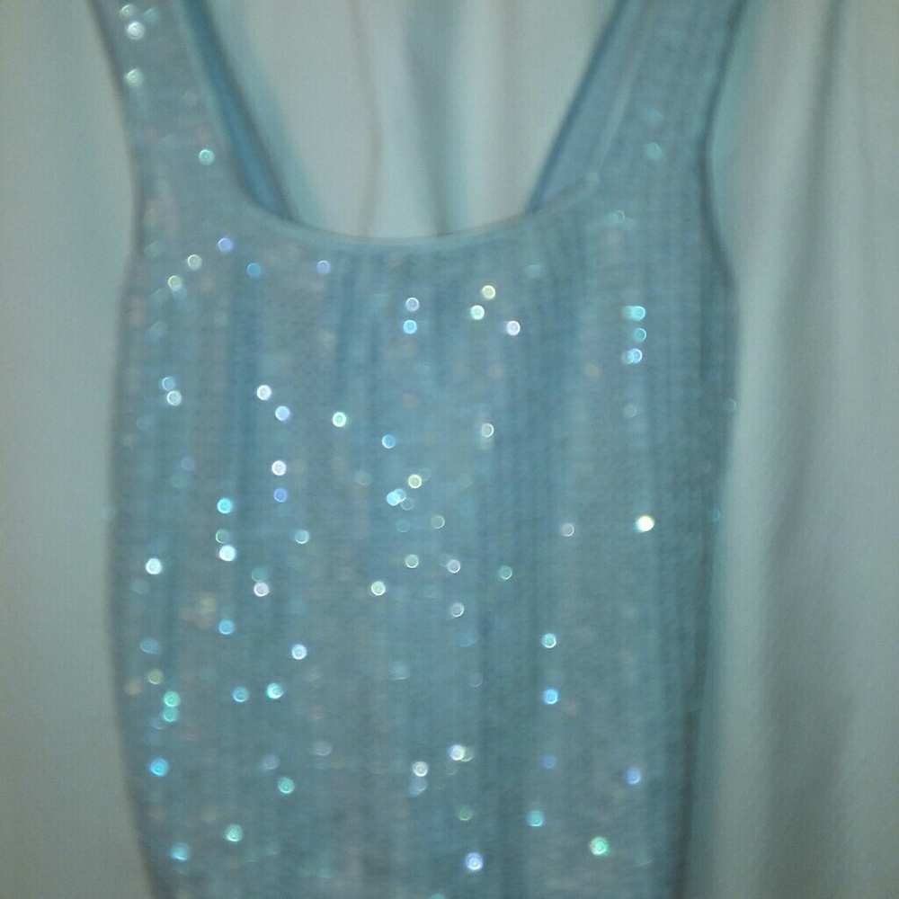 Sequin Covered Top - image 4